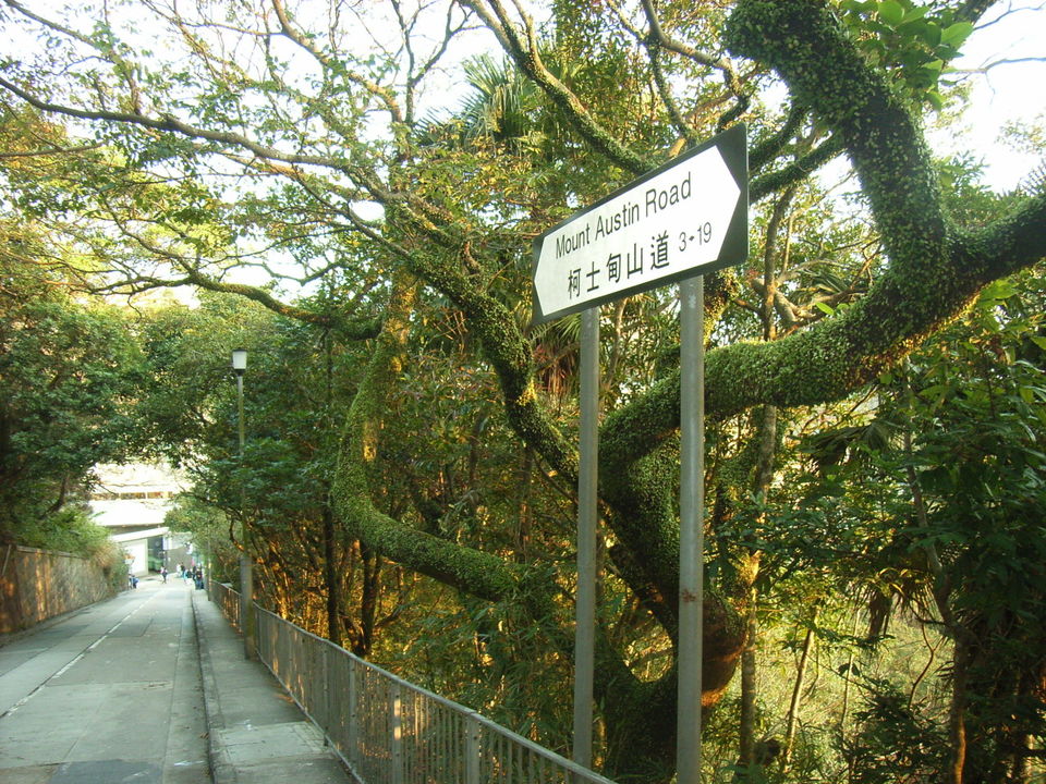 Photo of Mount Austin Road Playground, 香港柯士甸山道 by Stephan