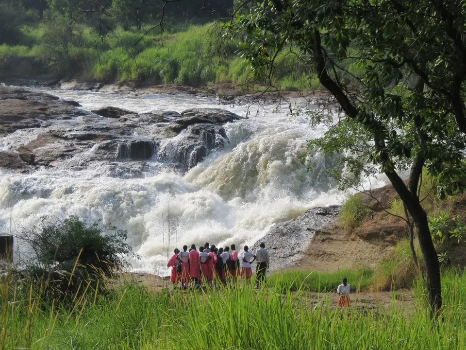 Photo of Murchison Falls National Park, Amuru, Northern Region, Uganda by David Patrick