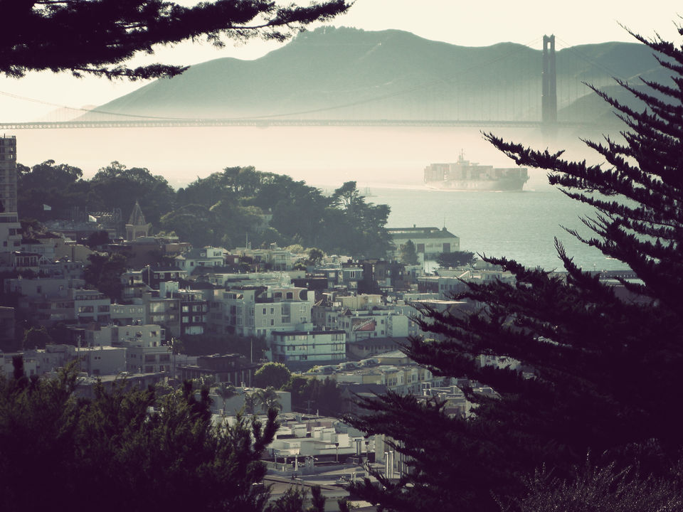 Photo of North Beach, San Francisco, CA by Michele Bigley