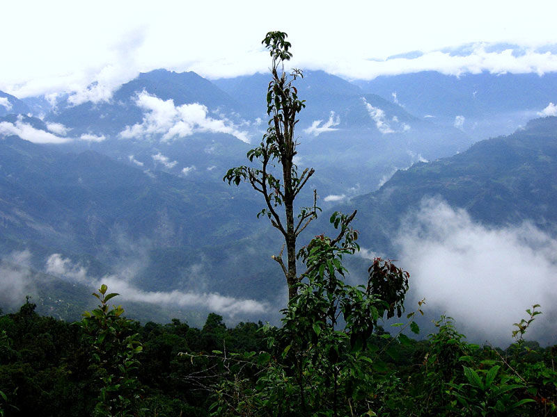 Photo of Maenam Hill, Sikkim by Baichung Bhutia
