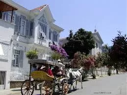 Photo of Princes Islands, Turkey by Guia Privado en Estambul