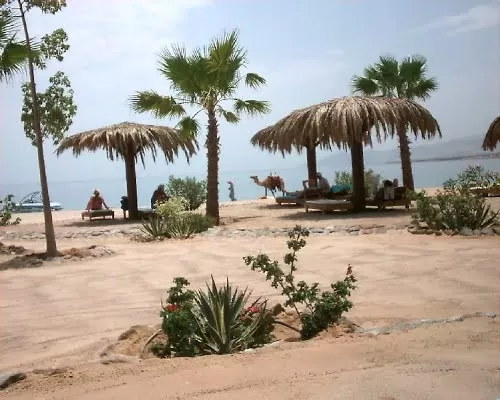 Photo of Qesm Nwebaa, Qesm Nwebaa, South Sinai, Egypt by Bradley