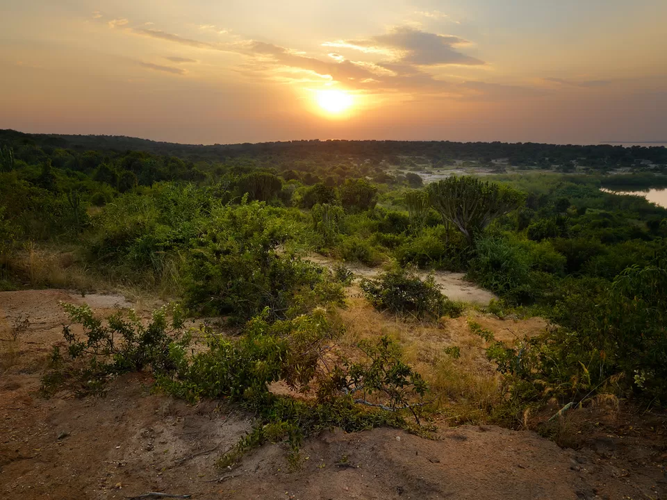 Photo of Queen Elizabeth National Park, Kasese, Western Region, Uganda by David Patrick
