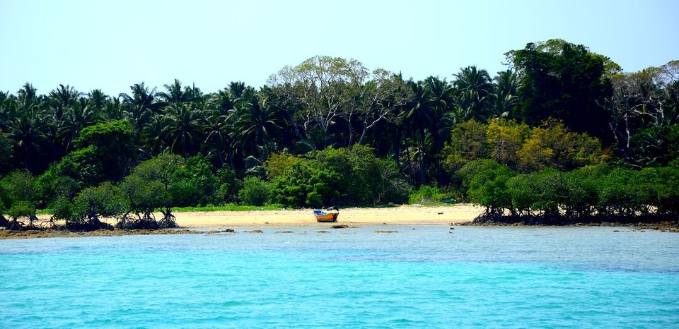 Photo of Radhanagar Beach, Andaman and Nicobar Islands, India by Kamalika Roy
