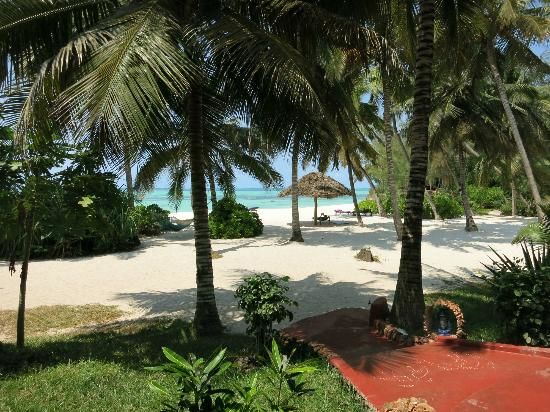 Photo of Santa Maria Coral Park, Pongwe by Shaun