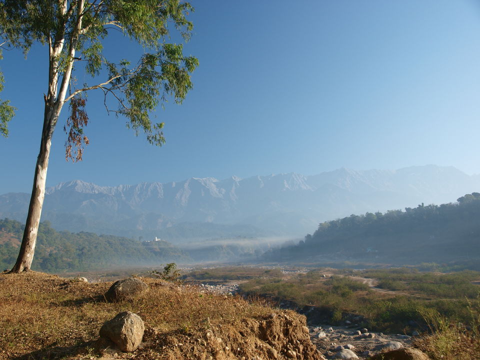 Photo of Shoghi, Himachal Pradesh, India by The Travel Shrink