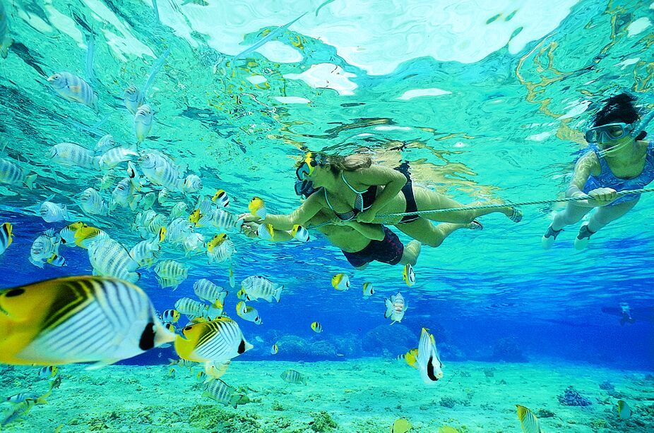 Photo of Ras-Mohammed-Nationalpark, Qesm Sharm Ash Sheikh, South Sinai, Egypt by Bradley