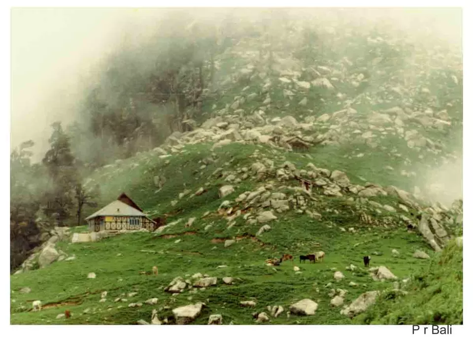 Photo of Triund, McLeod Ganj, Himachal Pradesh, India by Kishnaa Samana