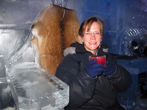 Photo of Minus 5 Ice Bar, Beach Street, Queenstown, New Zealand by Terry Gardner