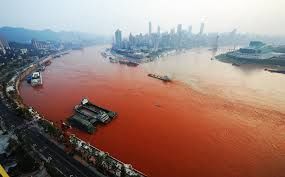 Photo of Yangtze River, Yangtze River, Chongming, China by Buck Perley