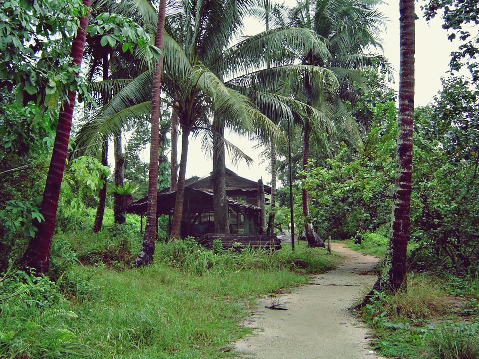 Photo of 8 Must-Have Experiences For Backpackers In Singapore 1/8 by Sreshti Verma