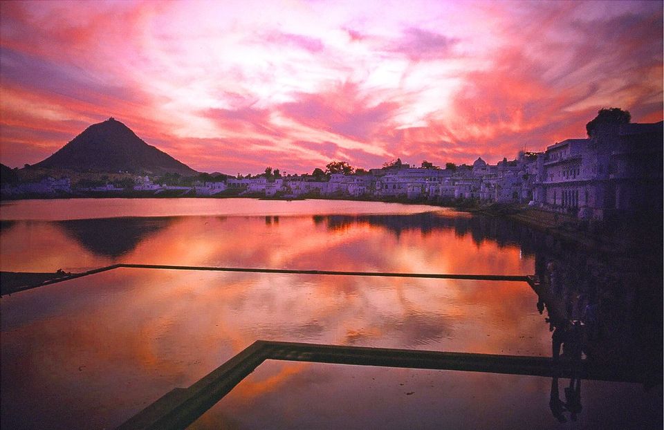 Photo of 10 Reasons Why You Can't Miss The Pushkar Camel Fair This Year! 3/10 by Sreshti Verma