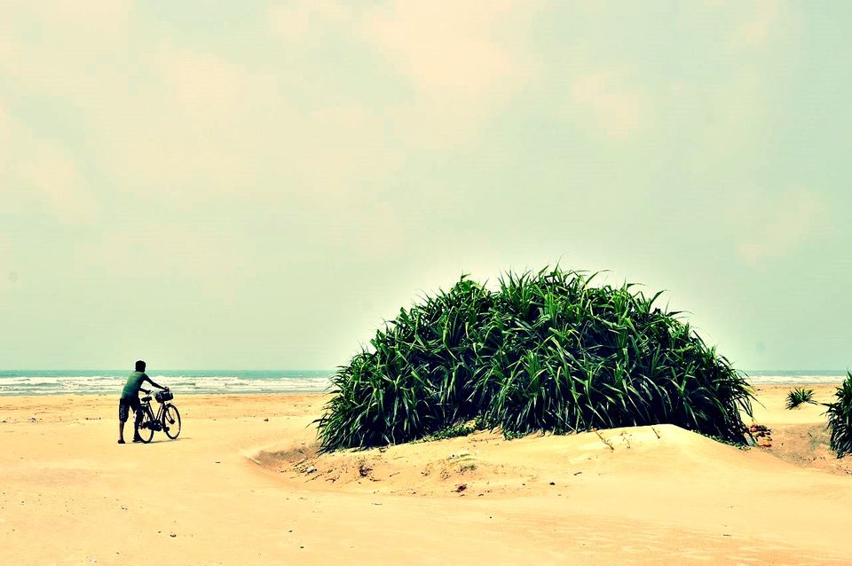Photo of Best Cities To Live In India For Travellers 8/22 by Sreshti Verma