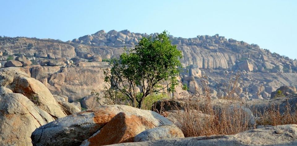 Photo of Best Cities To Live In India For Travellers 20/22 by Sreshti Verma