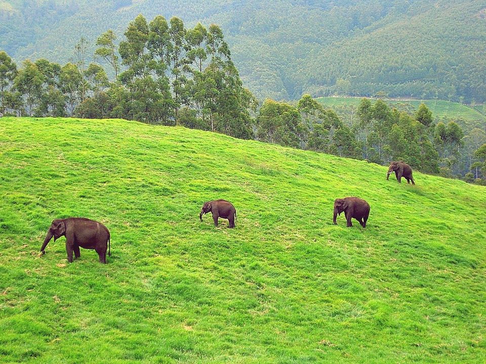 Biosphere Reserves in India: 10 Must Visit Biosphere Reserves in India