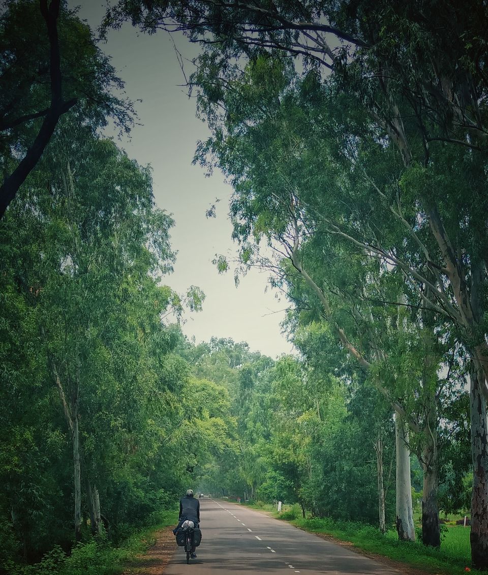 Photo of This 19-Year-Old Dumped Indian Engineering Dreams To Follow His Passion On A Bicycle To Malaysia 6/6 by Sreshti Verma