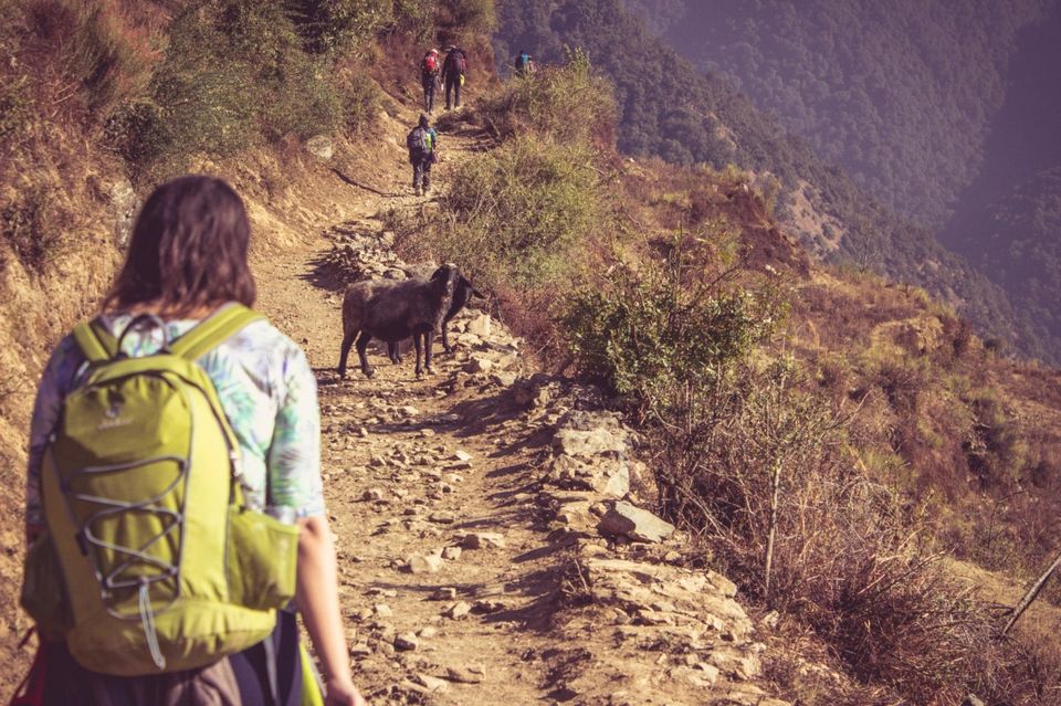 Photo of Nag Tibba, Jaunpur Range, Uttarakhand, India by Sreshti Verma