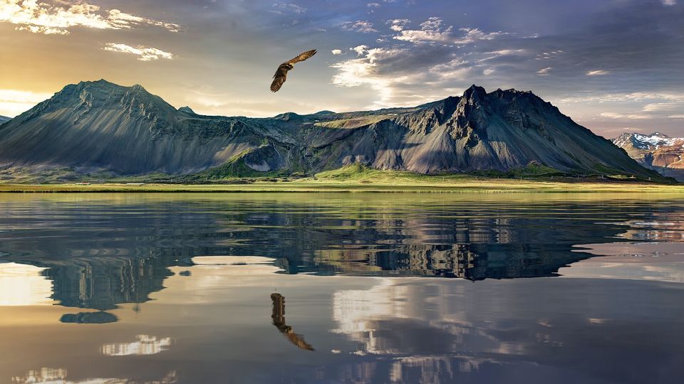 Photo of A Guide To The Best New Zealand Holiday Ever: 13 Days And 12 Nights In Heaven 1/2 by Tripoto