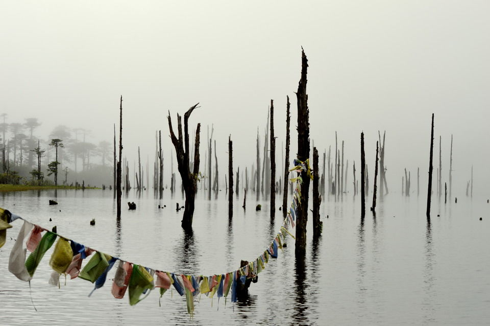 Photo of 20 Best Tripoto Itineraries of 2016 2/20 by Sreshti Verma