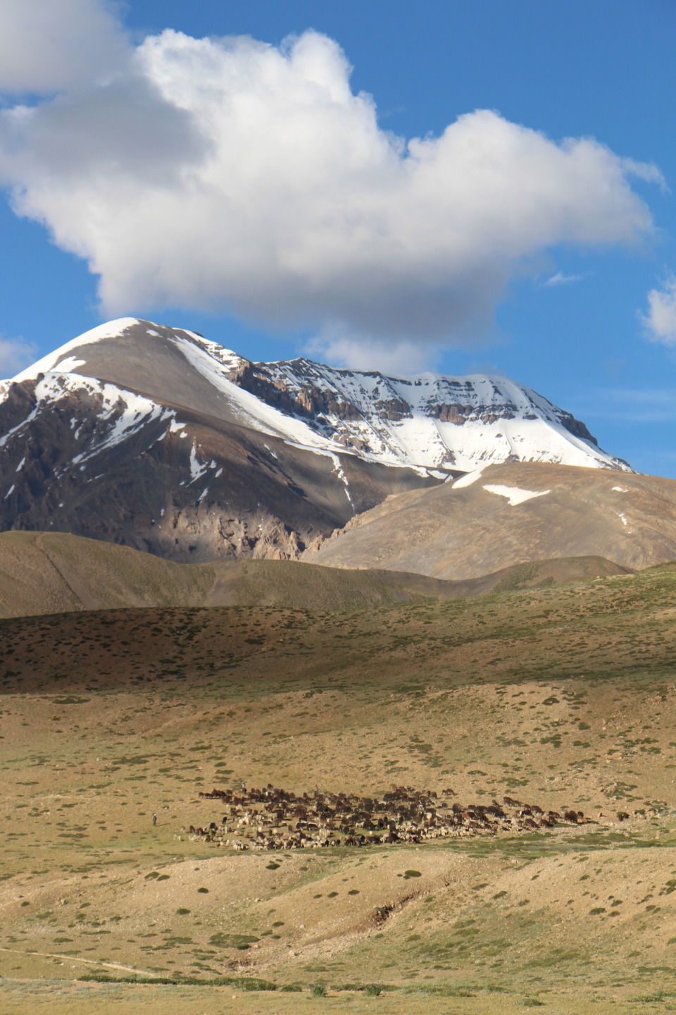 Photo of 20 Best Tripoto Itineraries of 2016 10/20 by Sreshti Verma