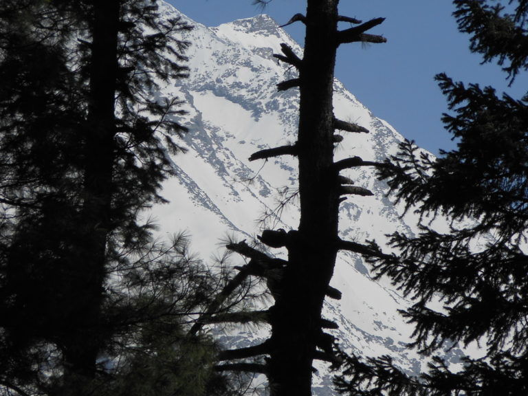 Photo of 5 Valleys Of Kashmir That Stunned Me 1/6 by simran