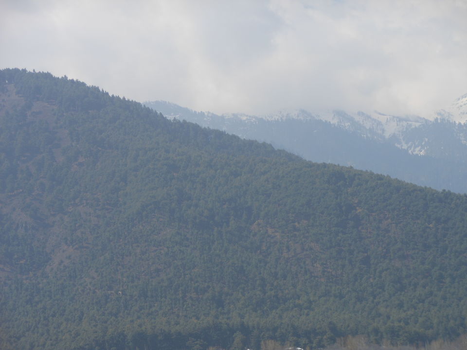 Photo of 5 Valleys Of Kashmir That Stunned Me 3/6 by simran