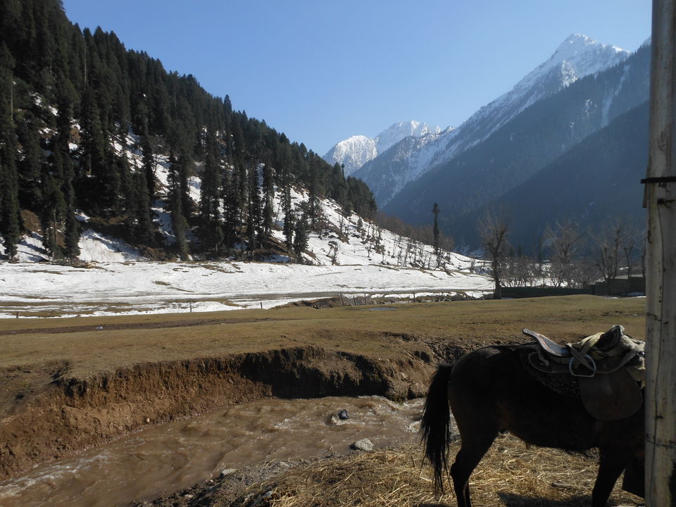 Photo of 5 Valleys Of Kashmir That Stunned Me 5/6 by simran