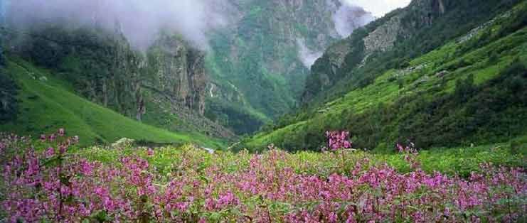 Photo of Call Of Himalayas (Part-2): Around Srinagar 2/8 by Sahil Gupta