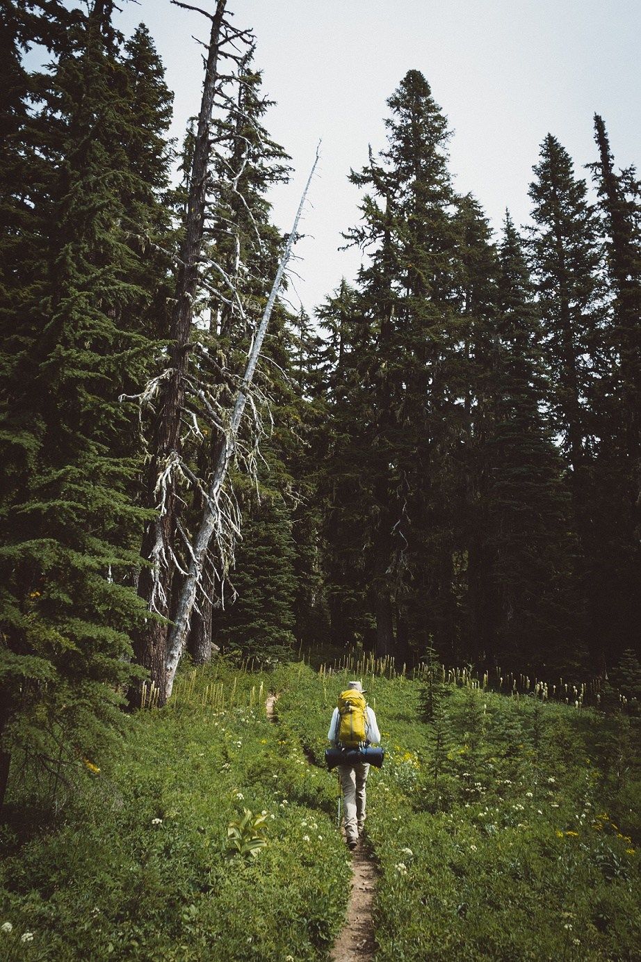 Photo of Solitude: Where Do You Find Yours? 3/8 by Rajat Chakraborty