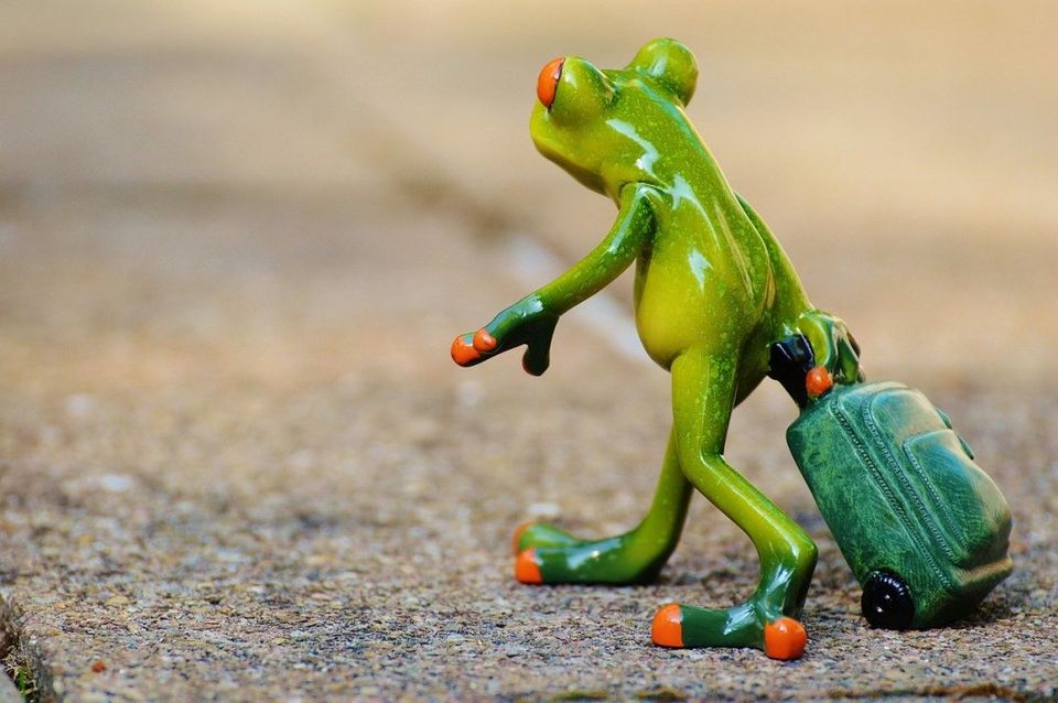 Photo of Top Things To Do Before You Plan Your First International Travel 1/5 by Blog Hunt