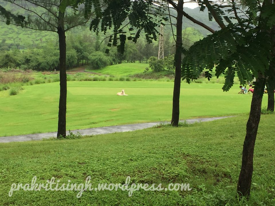 Photo of Solo Morning Stroll To PandavKada Falls 1/5 by Prakriti Singh