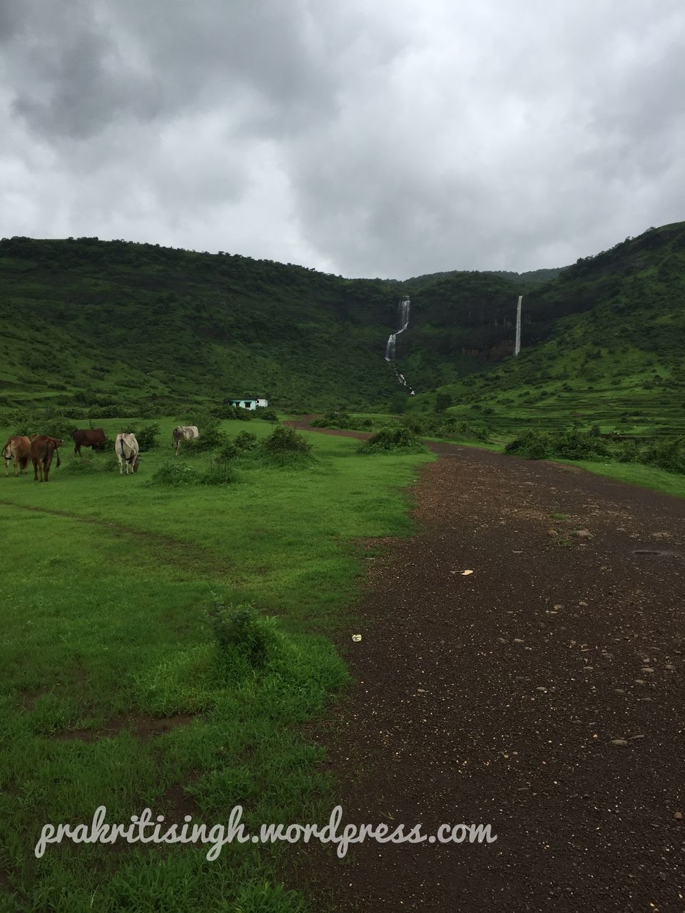 Photo of Solo Morning Stroll To PandavKada Falls 3/5 by Prakriti Singh
