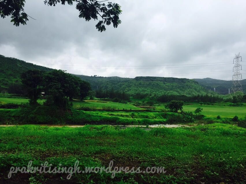 Photo of Solo Morning Stroll To PandavKada Falls 5/5 by Prakriti Singh