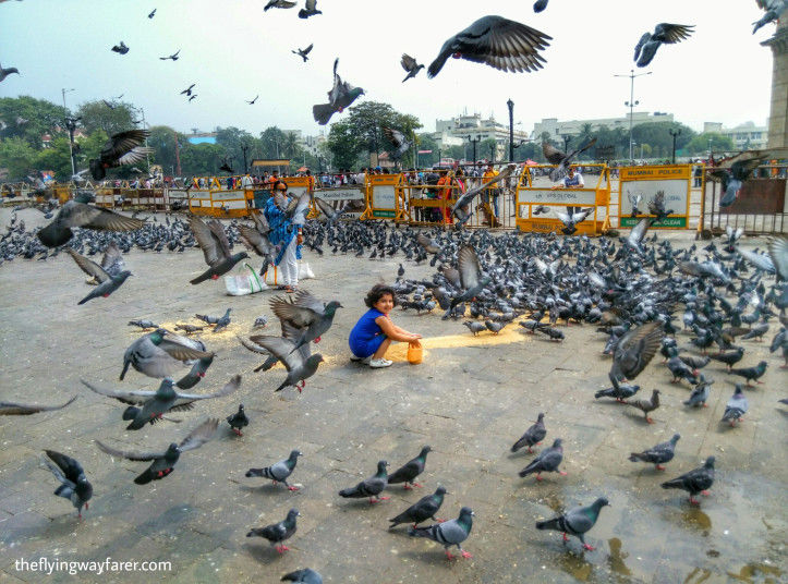 Photo of 15 Family Travel Tips | For stress free vacations 5/8 by Priyanka Singh