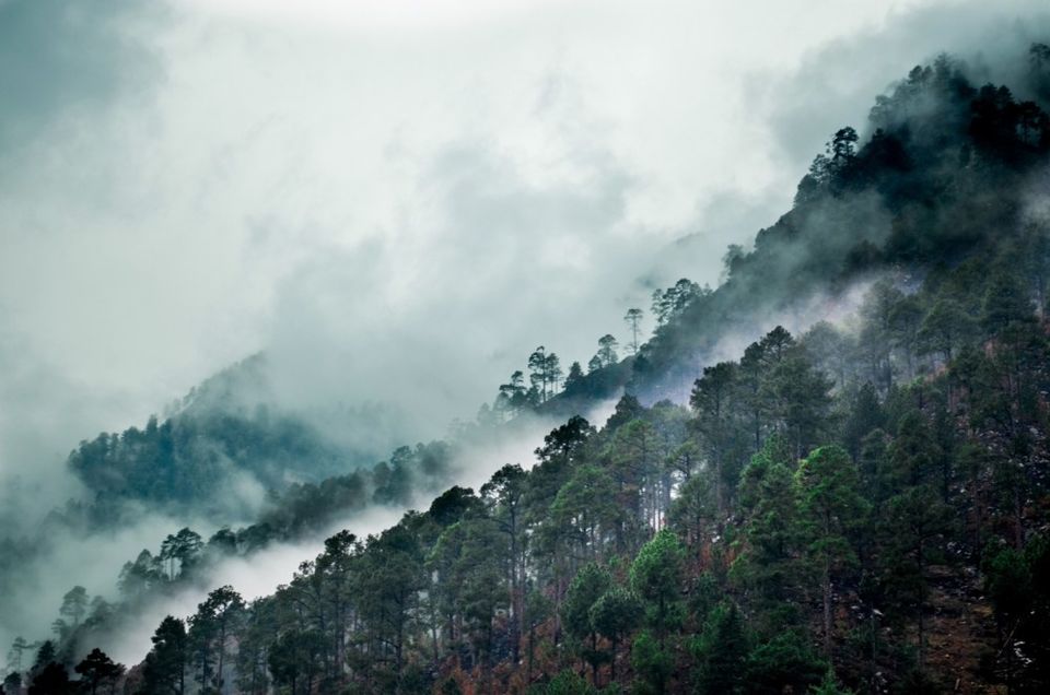 Photo of Enter The Grahan...A Little Different Trek To Grahan Village From Kasol 3/3 by Soumitra Mitra