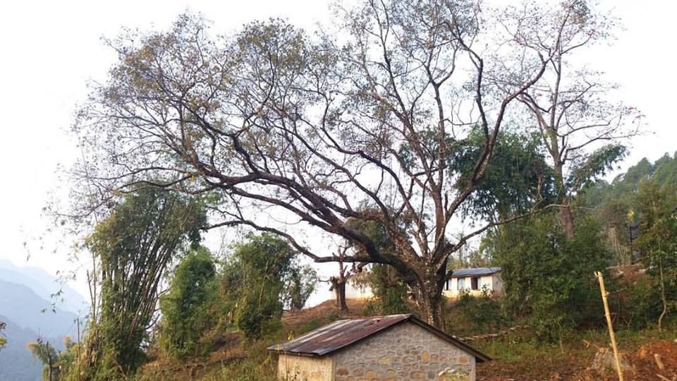 Photo of An Offbeat To Parbat 2/6 by Pritha Khanal