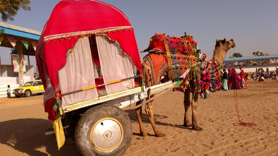 Photo of Embracing The Pushkar Vibe 1/1 by Sushantika
