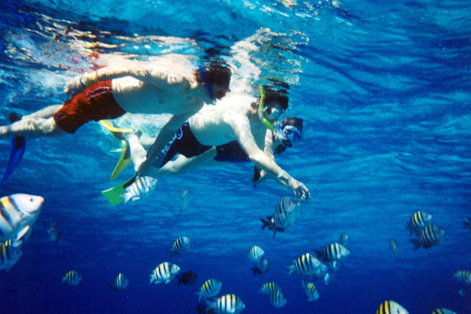 Photo of Snorkelling In India: A Know-It-All Guide To The Next Big Thing In Water Sports 2/2 by Sreshti Verma