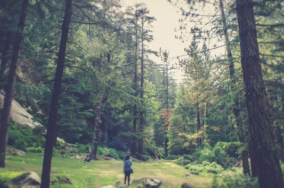 Photo of An Open Letter To Foreigners Who Travel To India 1/3 by Sreshti Verma