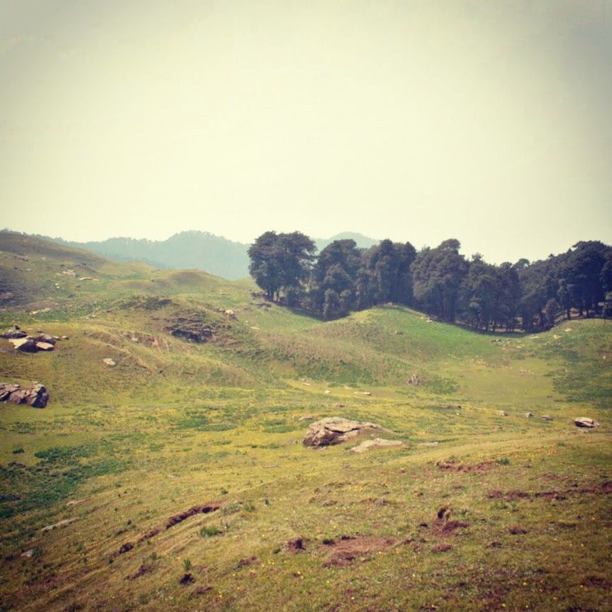 Photo of Auli, Uttarakhand, India by Trisha Singh