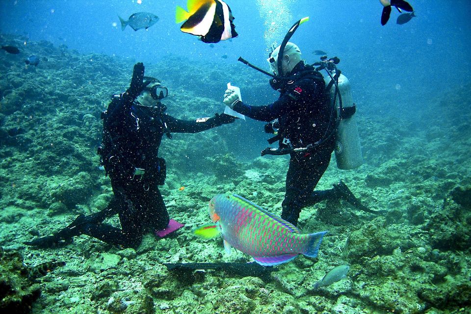 Photo of Cheapest Places in the World for a Scuba Diving Course 2/2 by Trisha Singh
