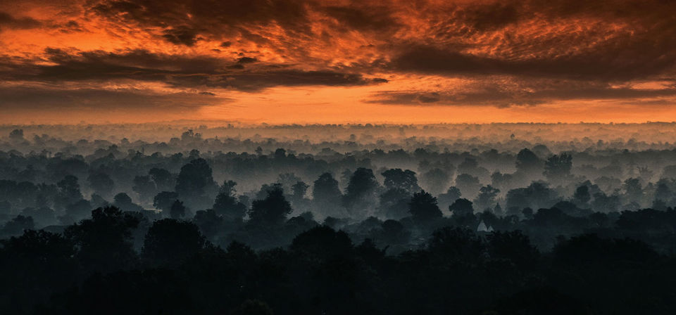 Photo of Why A Journey Into These Sanctuaries in India Is Exactly What You Need Right Now 2/3 by Trisha Singh