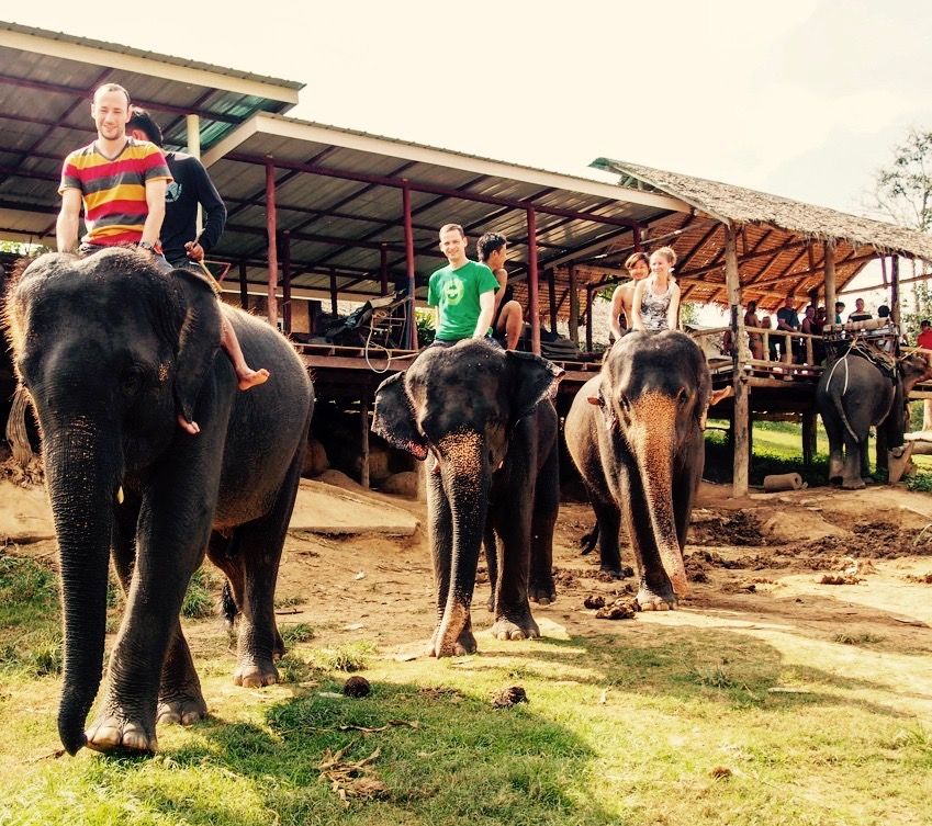 Photo of Exposing The Unknown Cruelty Behind Those "Fun" Elephant Rides 6/6 by Trisha Singh
