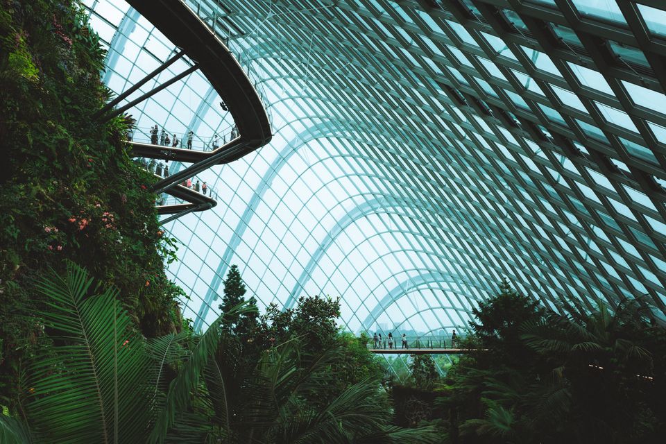 Photo of How a Layover in Singapore Can Turn into One of the Most Magical Trips in Your Life 3/3 by Trisha Singh
