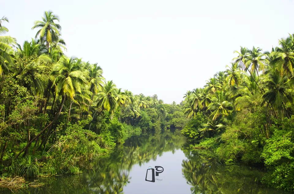 Photo of Goa, India by Ishita Bhowmik