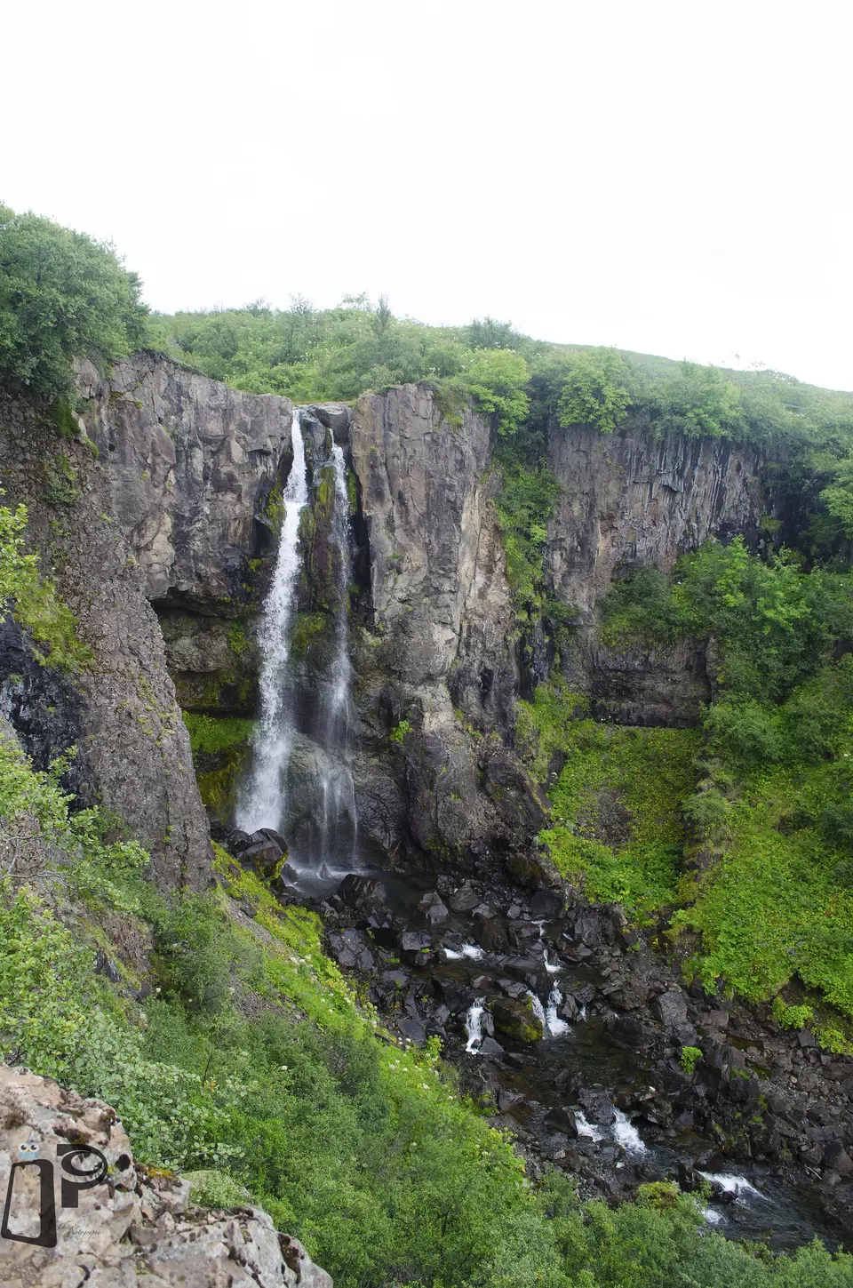 Photo of Svartifoss Trail, Iceland by Ishita Bhowmik
