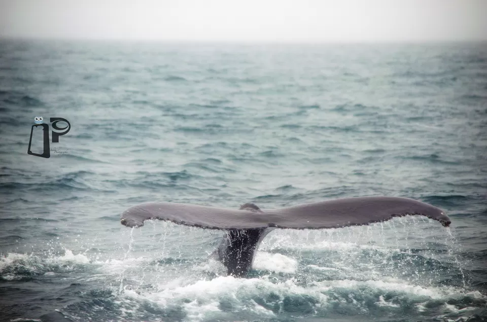 Photo of Húsavík, Iceland by Ishita Bhowmik