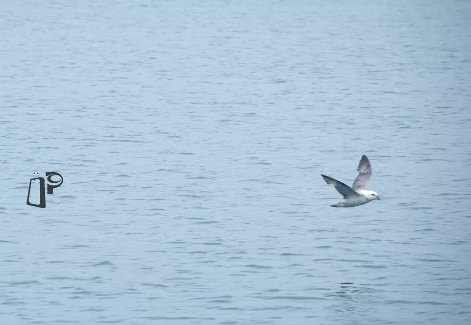 Photo of Húsavík, Iceland by Ishita Bhowmik