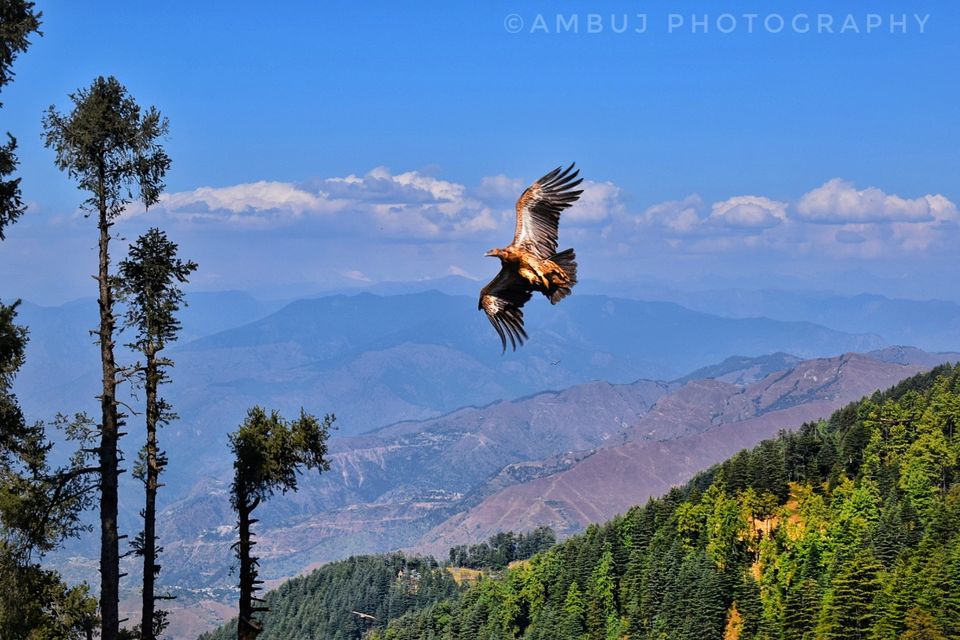 Photo of Uttarakhand, India by Ambuj Srivastav