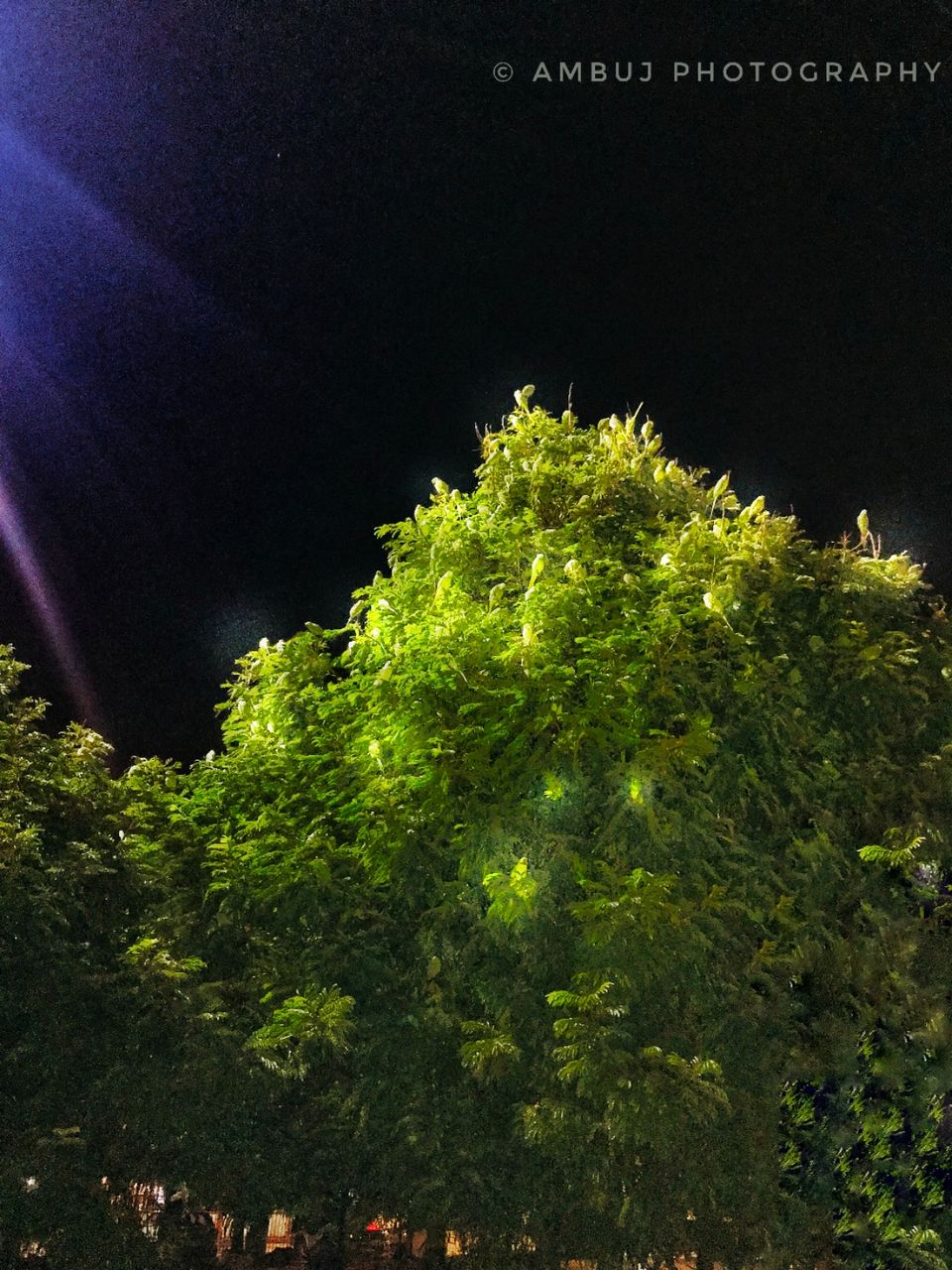 Photo of Bhopal, Madhya Pradesh, India by Ambuj Srivastav